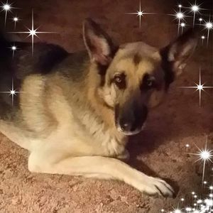 Meet your Posher, Jane